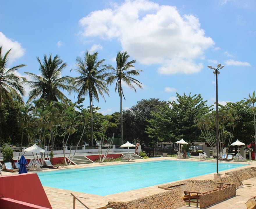 Piscina com coqueiros e espreguiçadeiras